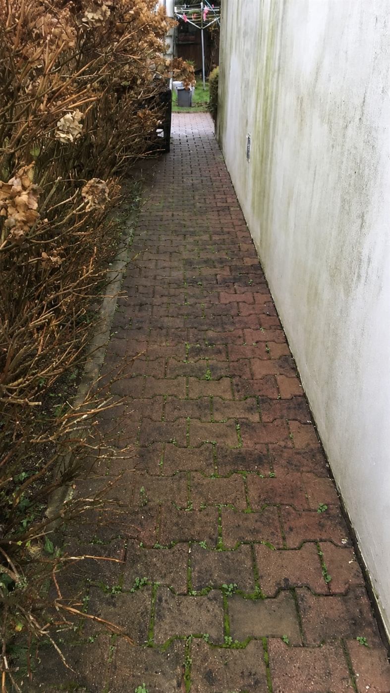 Avant : allée pavée envahie de mousse entre deux murs